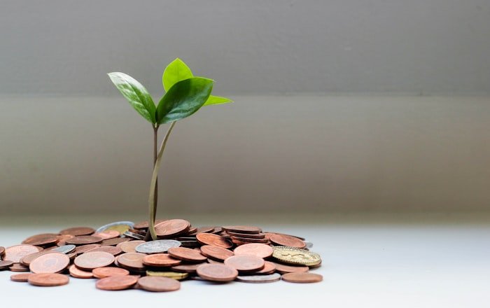 A Beginner's Guide to Mutual Fund SIPs